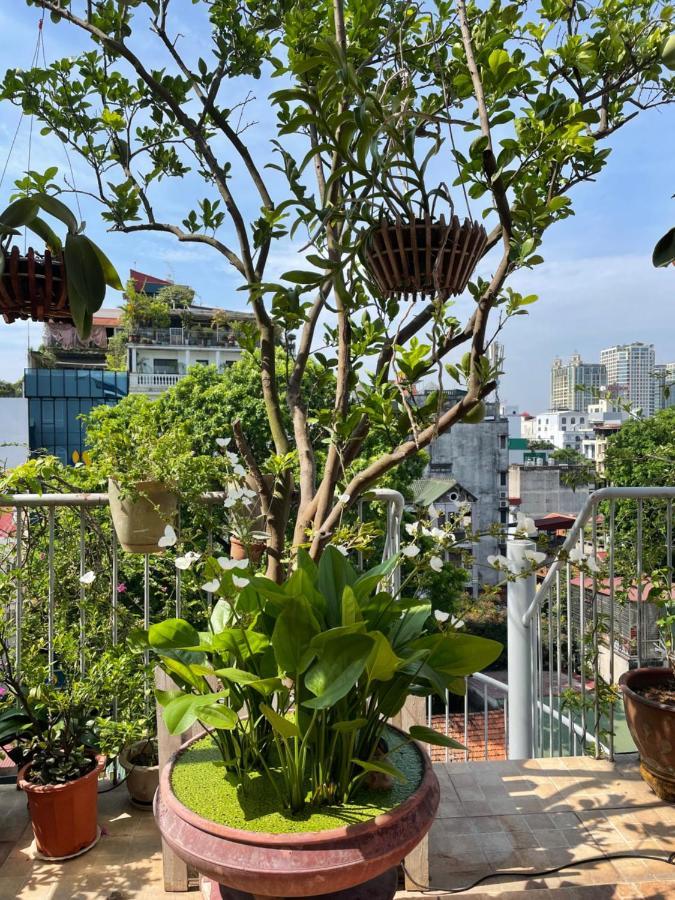 May Residence-800M From Opera House ฮานอย ภายนอก รูปภาพ