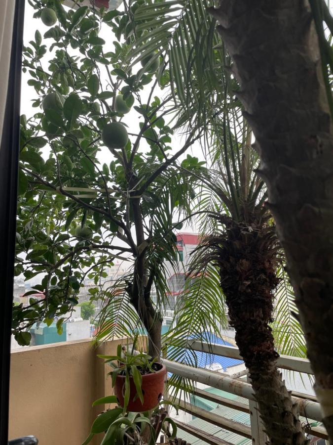 May Residence-800M From Opera House ฮานอย ภายนอก รูปภาพ