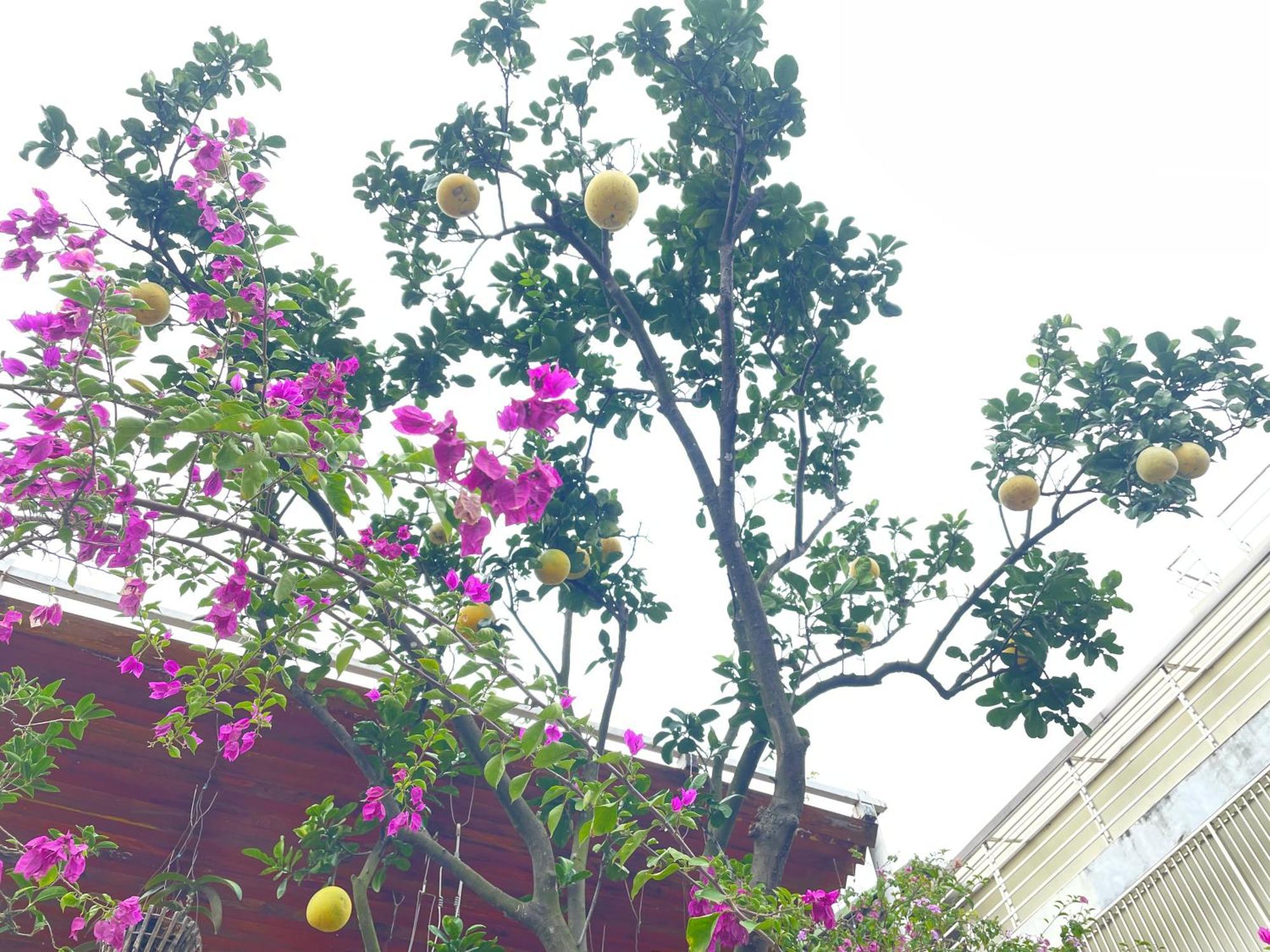 May Residence-800M From Opera House ฮานอย ภายนอก รูปภาพ